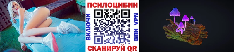 Галлюциногенные грибы Psilocybe  купить закладку  Североморск 